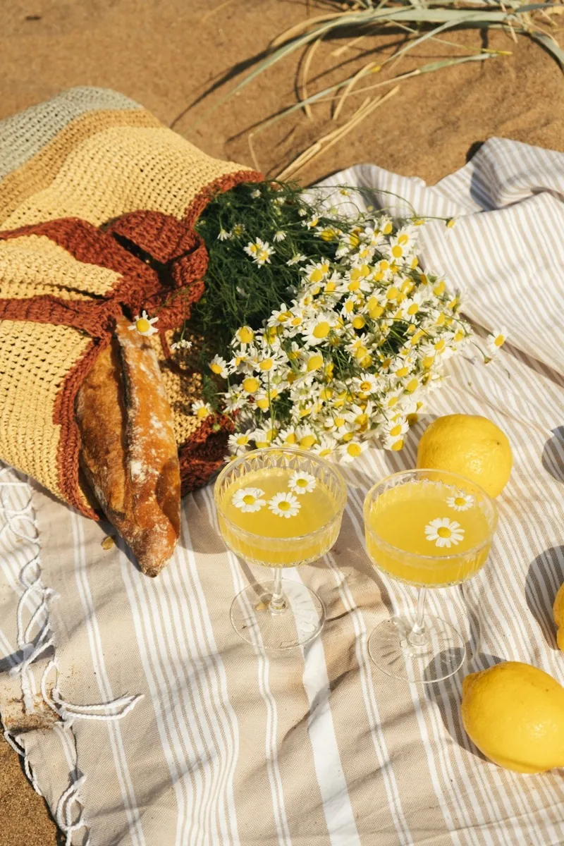 Zwei Gläser Limonade, Zitronen und Gänseblümchen auf einer gestreiften Decke